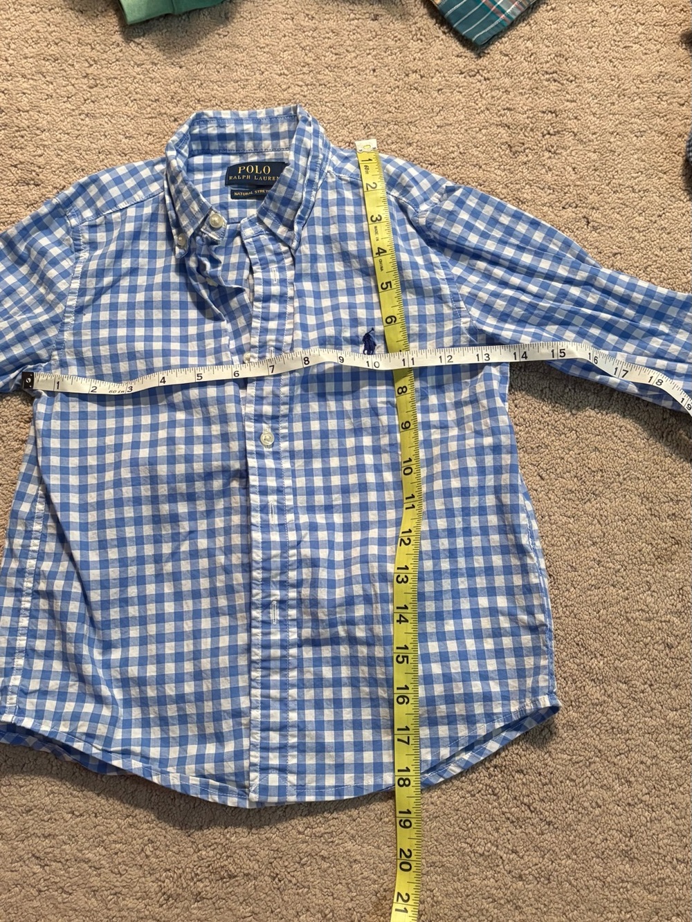 Polo by Ralph Lauren Blue and White Gingham Button-Down Shirt